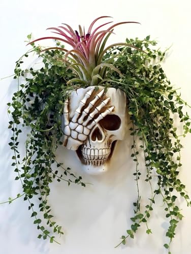 Resin Air Plant Holders,Tilandsia Container,Gothic Skeleton Planter,Halloween Plant Pot,Tillandsia Pot, Skull Table Top Display Planters for Air Plants and Other (7 * 5 * 3.2'',White No.3) - size: 7*5*3.2'',White No.3