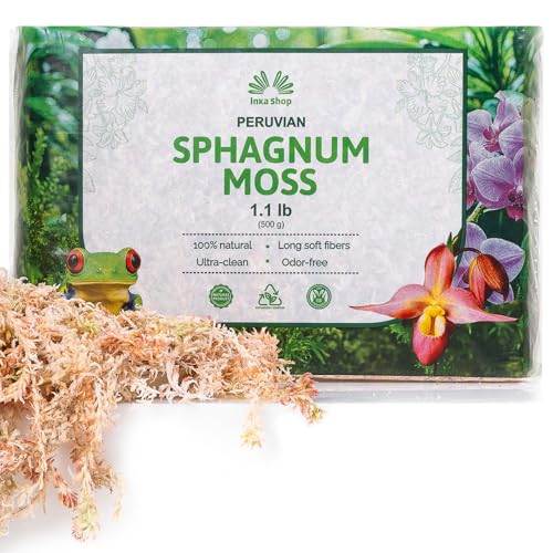 Inkashop Long Fiber Sphagnum Moss for Orchids and Carnivorous Plants 1.1lb | orchid moss for repotting, sphagnum moss for plants indoor, peruvian dried spagmoss, for monstera pothos, clean and non dusty - size: 1.1lb