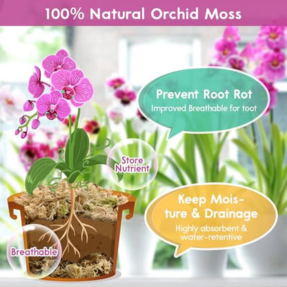 Riare 3.5oz Premium Sphagnum Moss for Plants- Natural Long Fiber Plant Moss | High Expansion, Moisture Retention & Drainage, Dried Orchid Moss for Succulent, Carnivorous, Ferns, Reptiles & Terrariums - size: 4QT/3.5oz