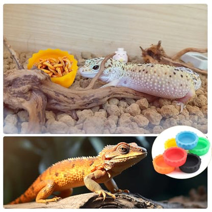 6 Pack Crested Gecko Small Food Dish Reptile Water Bowl Silicone Shallow Feeder for Small Reptile Lizard Gecko Frog Snake Turtle Hermit Crab (Small: 0.98" D, 0.43" H)