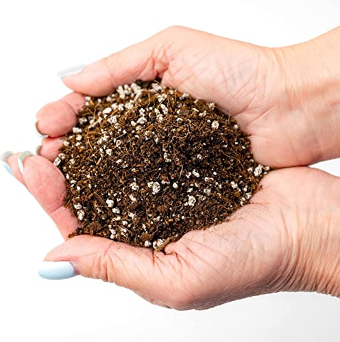 Premium Organic Seed Starter Soil - 1 Quart - All-Purpose Organic Potting Soil for Happy Seedlings and Plants by Gardenera - size: 1 Quart Bag, style: #2 SEED STARTER MIX