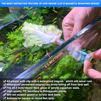 Waterproof Magnetic Seaweed Clip for Saltwater Fish Feeding nori Clip Aquariums Magnet Veggie Feeder Plant clamp Fish Accessories—Patented Product (1pcs Magnetic Veggie Clip) - size: 1pcs magnetic veggie clip
