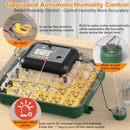 49 Egg Incubator for Hatching Eggs with Automatic Egg Turning, Temperature & Humidity Display, Hatch Day Countdown, Auto Water Refilling System, Egg Candler, Multifunctional Egg Tray for Chicken - size: M- 49 Chicken Eggs