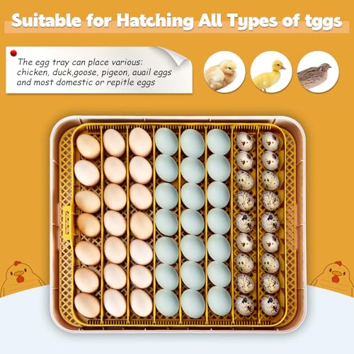 56 Egg Incubator for Hatching Eggs with Automatic Egg Turning White | Auto Humidification, Stable Temperature Control, Built-in Candler, View Window, Alert System for Lab School Farm - color: White