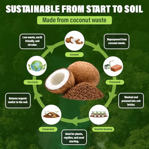 Coconut Coir Bricks, 10 Pack, 14lbs Coco Peat for Plants & Reptiles | Expands to 80 qt, 10 compressed coir bricks, seed starting, potting mix base, soil amendment, low EC, pH balanced - size: 14 Lbs (Pack of 10)