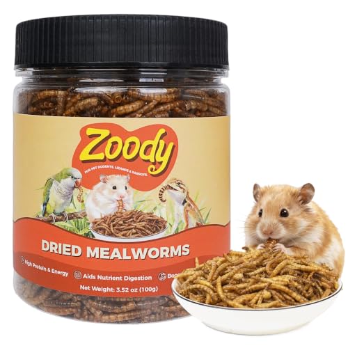 Zoody Dried Superworms Hamster Treats for Parakeets, Chickens 3.5 OZ | Natural High Protein Parakeet Treats, Hamster Snacks, Hedgehogs, Sugar Gliders, Reptiles & Small Animals, Crunchy & Tasty.