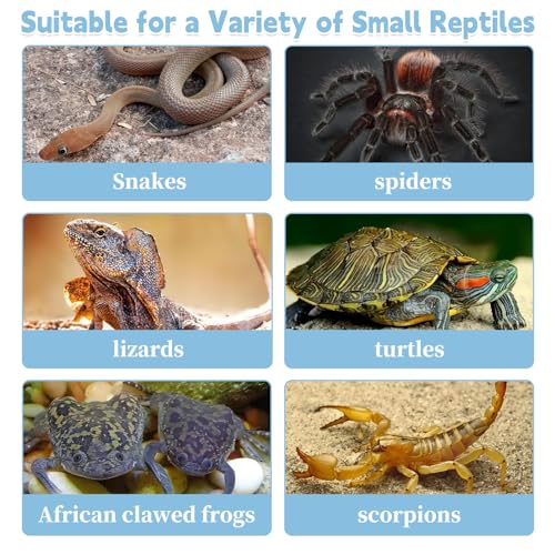 PINVNBY Reptile Feeding Box 6 PCS Snake Breeding Box Lizard Cricket Cage Habitat Hatching Container Transparent Portable Critter Keeper for Spider Scorpion Gecko Tortoise Treefrog (2 Large 4 Small)