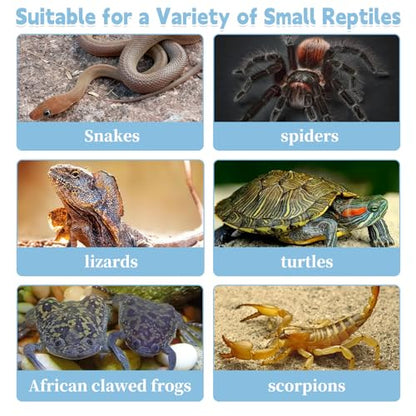 PINVNBY Reptile Feeding Box 6 PCS Snake Breeding Box Lizard Cricket Cage Habitat Hatching Container Transparent Portable Critter Keeper for Spider Scorpion Gecko Tortoise Treefrog (2 Large 4 Small)