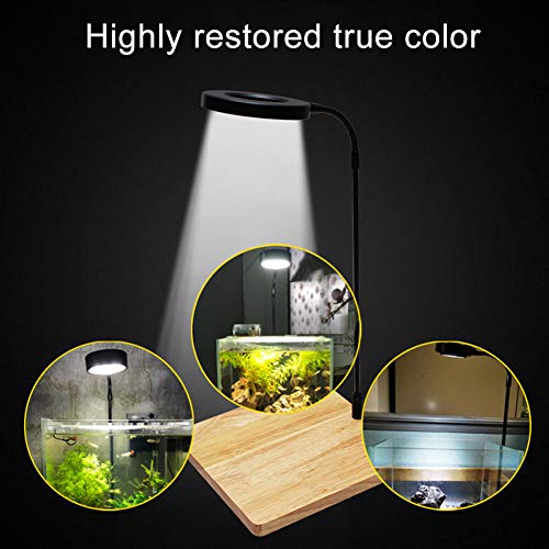 LED Aquarium Light 360 Degree Full Spectrum LED Light with Bamboo Board 10W Nano Fish Tank Light USB Powered Flat Nano Aquarium Light Bett a Fish Tank Light for Plant Growth - size: 10w m / 8.66x9.25inch