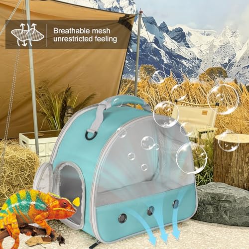 Guinea Pig Carrier,Guinea Pig Carrier for 2,Ventilation Carrier for Bearded Dragon,Reptile Travel Carrier for Lizards Sugar Glider Hedgehog Rat Parrot Birds,Airline Approved Green - color: Green