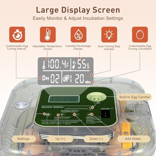 Series IV - 12 Egg Fully Automatic Incubator, Low Maintenance, Intelligent Sensor-Based Precise Humidity & Temp Control, Custom-Interval Auto Turn & Auto Stop, Preset Incubation Days, Candler, Alarms - size: New 12-Egg Green