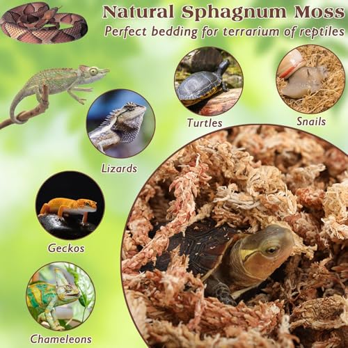 1.1 LB Long Fiber Sphagnum Moss for Reptiles, 25 QT Terrarium Moss | Natural Dried Moss for Snakes Turtles Frogs Geckos Ball Pythons Bearded Dragons Lizards Tank Accessories, Moisture Retention - size: 1.1 LB