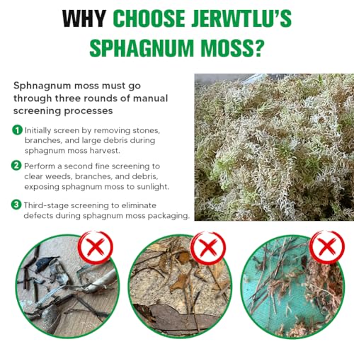 Natural Long Fiber Sphagnum Moss 42QT for Orchid Potting Mix, and Moss Pole for Plants Indoor. Ideal for Propagating Plants, Maintaining Humidity for Reptiles, Isopods in Paludarium, Aquascape (12 OZ) - size: 12 OZ