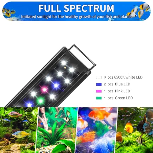 AQUANEAT LED Aquarium Light for 8 to 10 Inch Fish Tank, Auto On Off with Timer, Full Spectrum, Adjustable Brightness, Daylight Moonlight Mode, for Fresh Water Low-to-Mid Light Plants - size: 8"-10"