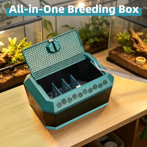 Insect Kepper Box, Cricket Keeper with Feeding Tongs, Breeding and Storage Container Kit for Crickets, Dubia Roaches, Breadworms and Silkworms, Large (Large)