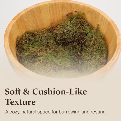 Deco Moss for Terrarium Habitats, Medium 1-Pack | Preserved Moss for Reptiles, Amphibians & Invertebrates Terrariums, Humidity Control, Soft, Dye-Free, Family Owned, USA Made - size: Medium 1-pack, style: Deco Moss