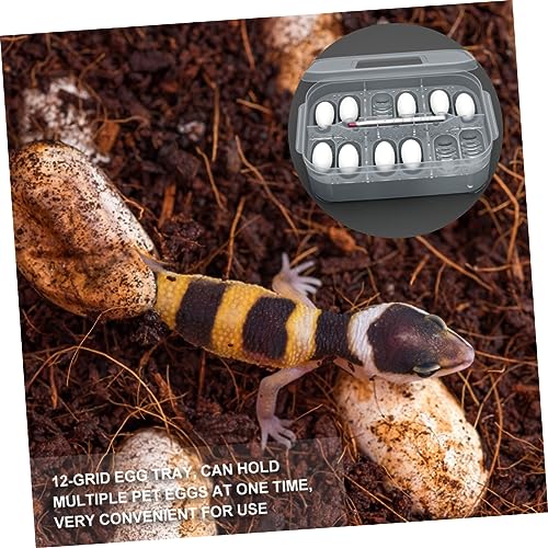 TOYANDONA Reptile Breeding Box Transparent Hatching Box for Snakes and Lizards Material Easy Clean and Lightweight Incubation Tray