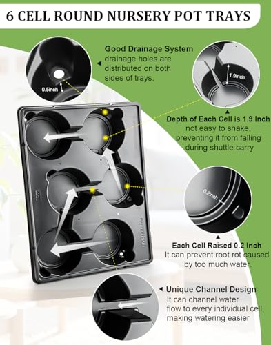 RooTrimmer 30 Pack 6 Inch Clear Nursery Pots and 5 Pack 6 Cell Round Plant Pot Trays, Sturdy Seeds Starting Germination Shuttle Carrying Trays, Planter Nursery Propagation 5 Sets - color: Black + Clear, size: 6 Inch 30 Pack Pots With 5 Pack Trays