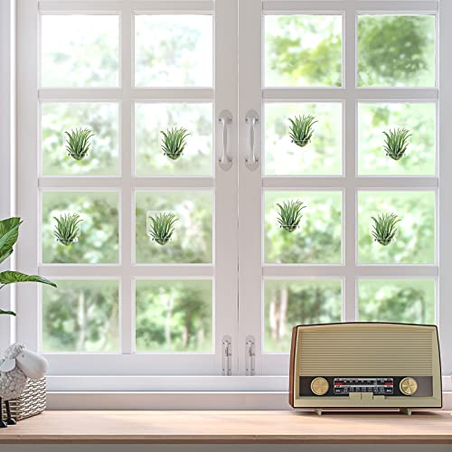 Jetec 12 Pcs Acrylic Air Plants Holder Hanger Air Plant Live Holders with Mounting Tape for Hanging Plants Glass Display Home Office Decoration