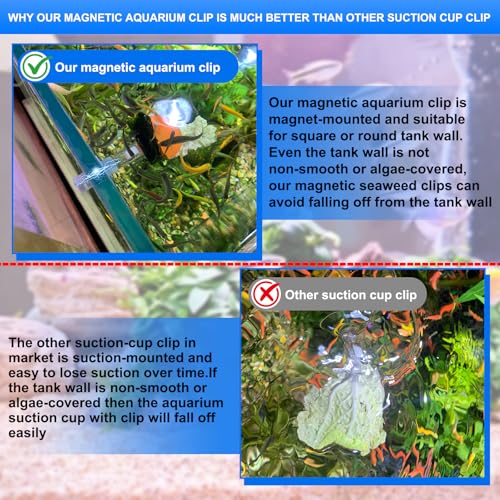 Waterproof Magnetic Seaweed Clip for Saltwater Fish Feeding nori Clip Aquariums Magnet Veggie Feeder Plant clamp Fish Accessories—Patented Product (1pcs Magnetic Veggie Clip) - size: 1pcs magnetic veggie clip