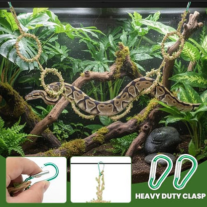 Snake Climbing Rings for Ball Python & Corn Snake, Reptile Toys | Enrichment Pet Toys & Tank Cage Decor, Habitat Accessories for Terrarium, Bearded Dragon, Chameleon, Lizard & Parrot