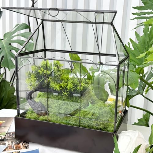 Large Glass Terrarium with Metal Tray, Glass Greenhouse Terrarium, Succulent Terrarium Kit for Succulents, Cacti, Snails, Spiders, and Miniature Reptiles, Black (Velvet Bottom)