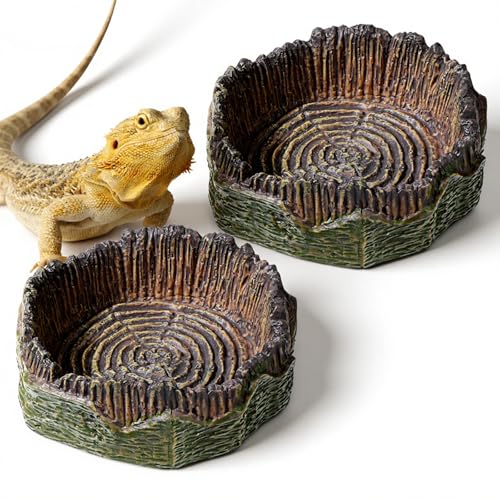 Small Reptile Food Dish, 2 PCS Reptile Water Dish Food Bowl Reptiles Feeding Foods Resin Terrarium Bowl for Bearded Dragon Gecko Frog Snake Chameleon Tortoise