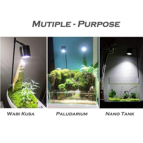 LED Aquarium Light, Full Spectrum COB LED Spotlight for Planted Aquariums, Small/Nano Tanks, Wabikusa, Terrarium, Paludarium