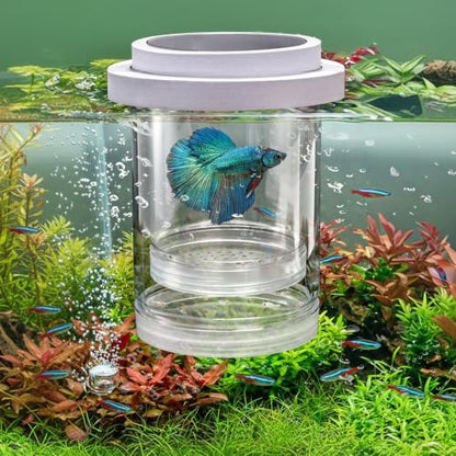 2 Pieces Breeder Box for Fish Tank, Floating Plastic | Aquarium Isolation Box, Mesh Fish Nursery Separator Tank Hatchery Incubator for Shrimp, Betta, Clownfish, Guppy, 2-Piece Set