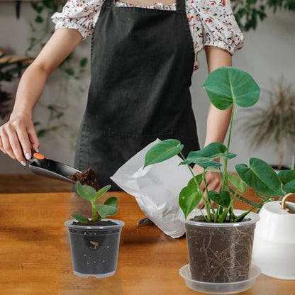 40 Pack 3 Inch Clear Nursery Pots with Drainage Plant Pots for Plants Transparent Potting Containers for Plants Seeding Starter Pot (Clear, 3 Inch 40 Pcs) - size: 3 Inch 40 Pcs