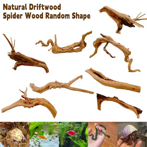 Hamiledyi 6-8in Aquarium Driftwood 3PCS Reptile Spider Wood Assorted Branches Natural Trunk Driftwood Tree Fish Tank Decoration - size: Spiderwood (6-8in 3PCS)