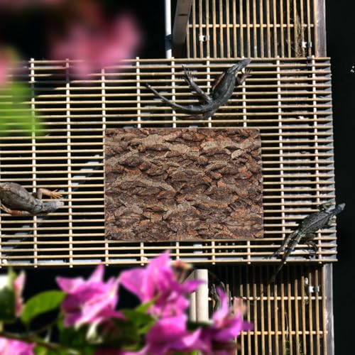 Zerodeko Reptile Tree Bark Terrarium Decor 2 Pack Reptile Platform for Climbing and Resting 11.81 X 7.87 X 0.78 in Bark Platform for Lizards Tortoises Spiders Hamsters
