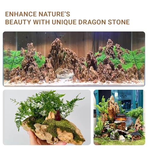 Dragon Rocks Aquariums Stones Natural Rocks for Aquascaping, Aquariums, Terrariums, Vivariums Decorative Stone,Reptile Enclosures,Paludariums,and Gardens-10lb（2 to 7 inch） - size: 10Lb (2-7 inch)