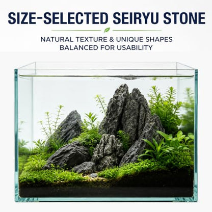 Seiryu Stone Aquascaping Rocks, 1 lb (2-4"), Aquarium Stone Set | Beginner to advanced aquascaping • Iwagumi-ready stone selection • Creates depth & perspective • Ideal for planted aquariums - color: Seiryu-Stone, size: 1 lb (2–4")