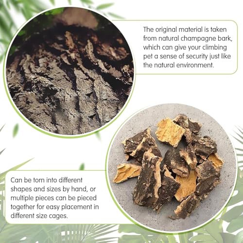 kathson 2PCS Thicker Cork Tile Background Bark 11.8 "L x 11.8" W x 1‘’ H Reptile Tank Terrarium Background Natural Reptile Climbing Mat for Spider Gecko Lizard Chameleon Bearded Dragon Snake - size: 11.8 "L x 11.8 " W x 1‘’ H