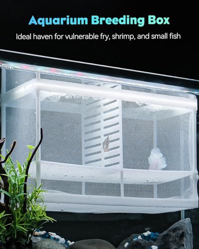 Pawfly Fish Tank Breeder Net Aquarium Fish Breeder Box with Nylon Mesh & Suction Cups, Fish Separation Net Large Isolation Box, Fish Fry Hatchery Incubator Hatching Box for Baby Fish Shrimp Betta - size: Large
