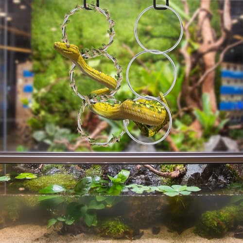 Snake Climbing Rings for Ball Python-Enrichment Snake Enclosure Accessories | Snake Climbing Accessories with Hanging Buckle, Rattan Rope for Bearded Dragon, Chameleon, Iguana, Gecko, Lizard, Parrot