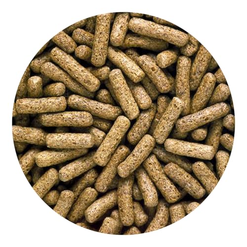 Hikari 330337 Saki-Turtle Sticks, 7.05 oz, Black - size: 7.05 Ounce (Pack of 1)