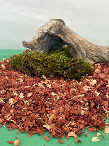 Manzanita Reptile Bedding - Natural Hardwood Substrate Chips for Lizards, Snakes & Tortoises - Kiln-Dried, Chemical-Free, USA Harvested Terrarium Flooring - 4 Quart