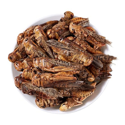 Freeze Dried Grasshoppers - High Protein Reptile & Bird Food, 1lb Resealable Bag for Bearded Dragons, Lizards, Hedgehogs | Natural, No Additives