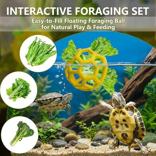 Turtle Cleaning & Feeding Kit: 2 Pcs Shell Scrubber Brush with Suction Cup and Interactive Feeder Ball for Aquatic Turtles and Tortoises