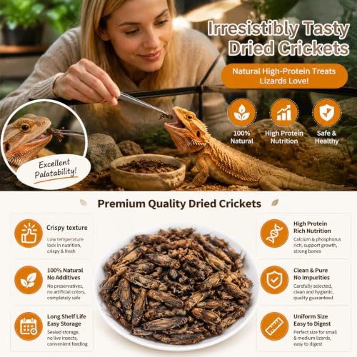 Freeze Dried Crickets – 4 Oz High Protein Freeze Dried Crickets, Food for Reptiles, Bearded Dragons, Lizards, Geckos, Birds, Fish,Hedgehogs, Bearded Dragon Food