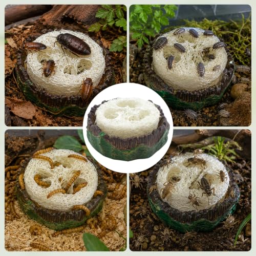 Cockroach Water Basin with 4 Loofah Set, Dubia Roach Water Dish, Dubia Roach Container for Roaches, Mealworms, Crickets, Isopods
