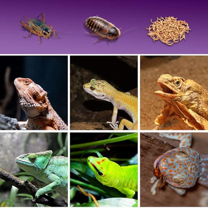 Cricket Calcium Powder Mixer, Reptile Cricket Keeper, Reptile Calcium Duster for Bearded Dragon Gecko Lizard Snake Chameleon (Purple)