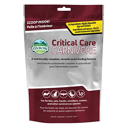 Oxbow Critical Care Carnivore, Recovery Food for Cats & Ferrets, 340 g | High-Calorie, Assist Feeding, Syringe Feed, Emergency Nutrition, Whole Egg, Dried Chicken, Cats, Ferrets, Reptiles, Hawks - size: 11.99 oz