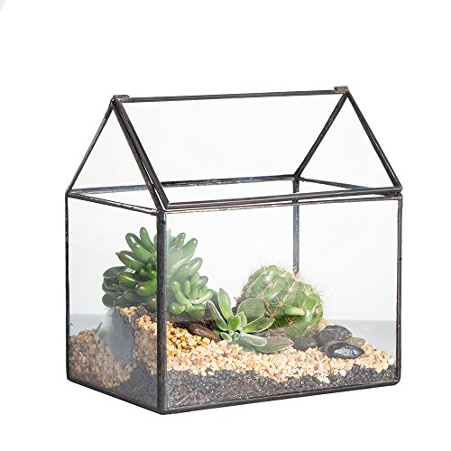 NCYP Small 6.1" x 6.3" x 4.33" Glass Terrarium Box with Lid for Succulent, Air Plants - House Shape Closed Geometric Planter Pot - Home Garden Tabletop Decoration, Black (No Plants)