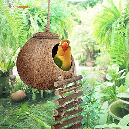 Niteangel Natural Coconut Hideaway with Ladder, Bird and Small Animal Toy (House with Ladder, Natural Surface) - color: Natural Surface