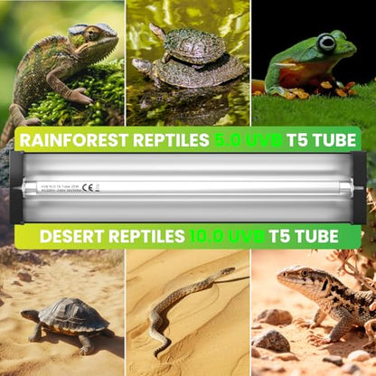 Dual-Mode 8W T5 UVB Light for Reptiles, Switchable 5.0/10.0 UVB Light for Tropical & Desert Reptiles, 12.4inTerrarium Hood Fixture for Bearded Dragon, Gecko, Tortoise, Snake