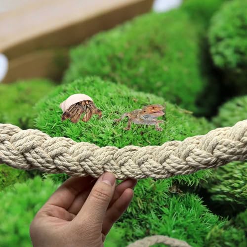 2 Pcs Hermit Crab Sturdy Twine Ladder, Hermit Crab Vine Climbing Toys, Reptile Tank Terrarium Accessories for Hermit Crab Geckos Snakes Lizards Geckos Tree Frogs