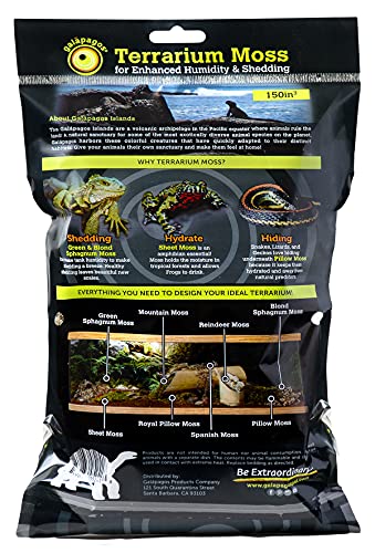 Galapagos (05180 Reindeer Moss, Natural, 150in3 Header Bag | Header Bag